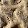 Trilobite Tracks (TRX01)