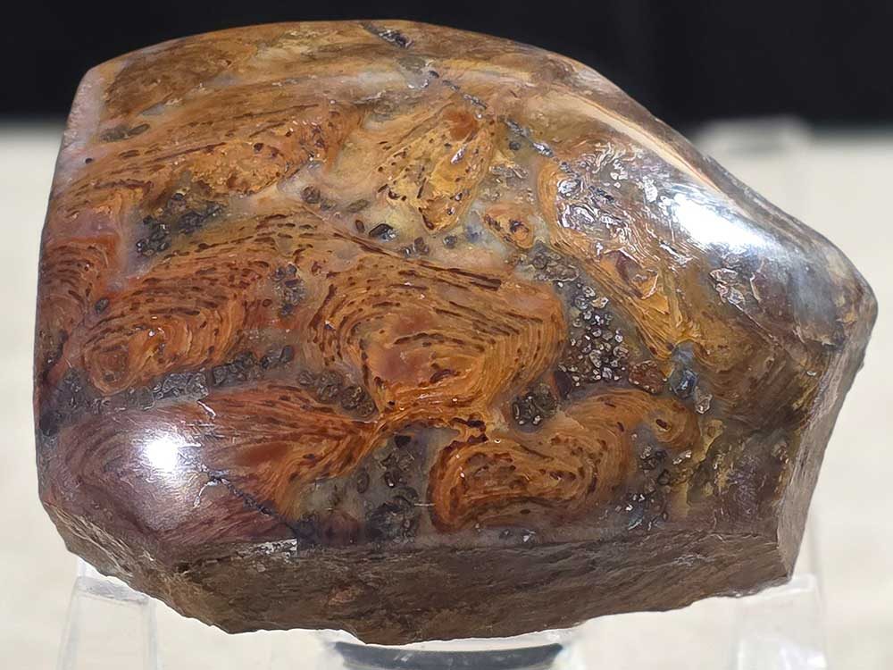 category-RAINBOW-STROMATOLITE